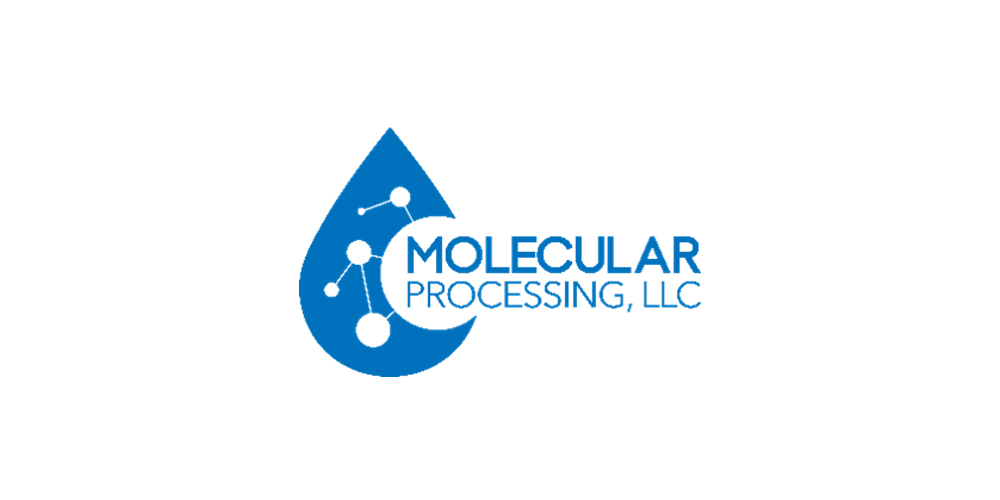 Molecular Processing